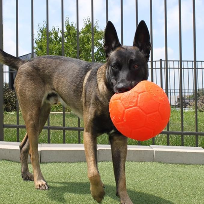 Jolly Pets Large Soccer Ball, Floating-Bouncing, 8in, Orange