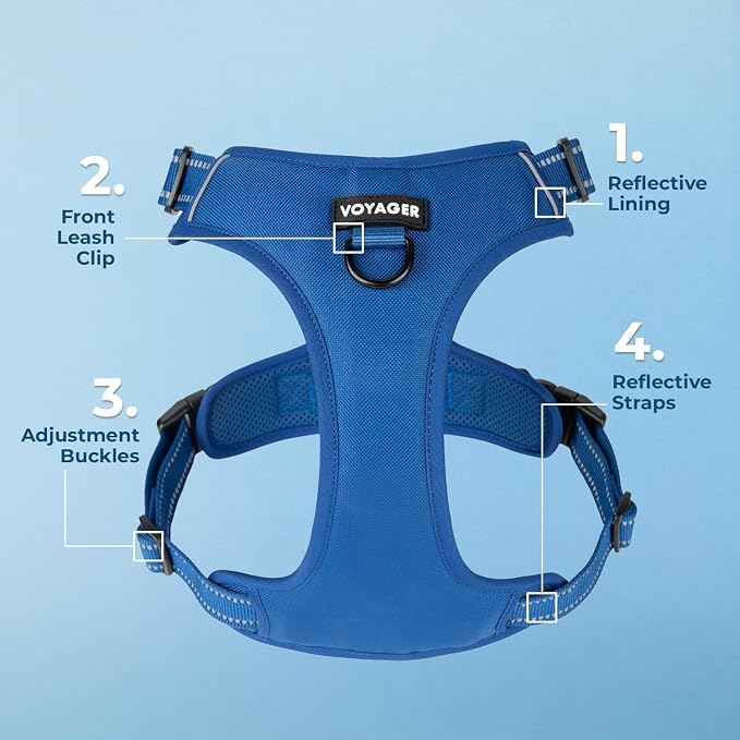 Voyager Dual Attachment No Pull Harness - Royal Blue, X-Small | 13 - 16" in Chest, No Pull Dog Harness, Fully Adjustable, 3M Reflective Technology, Front & Back D-Rings, Walking & Training