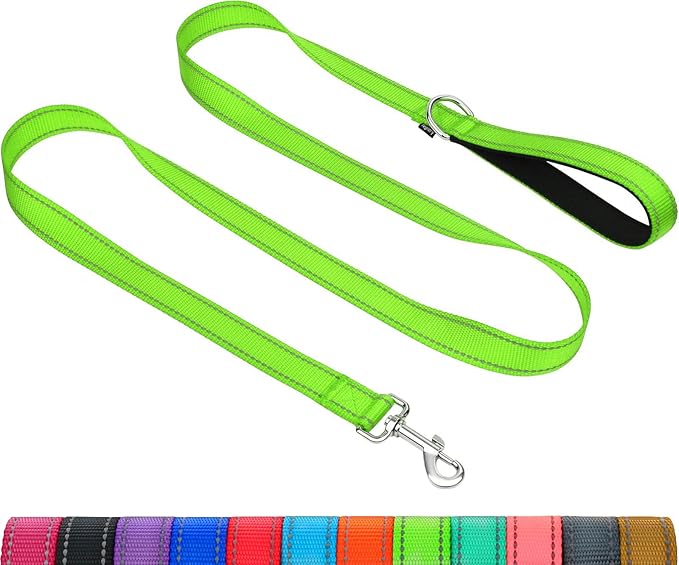 Taglory Reflective Dog Leash for Small Dogs, 3/4in x 5ft, Neon Green | Ideal for Night Walking, Strong for Sudden Pulls, Lightweight & Gentle on the Neck, Soft Padded Handle