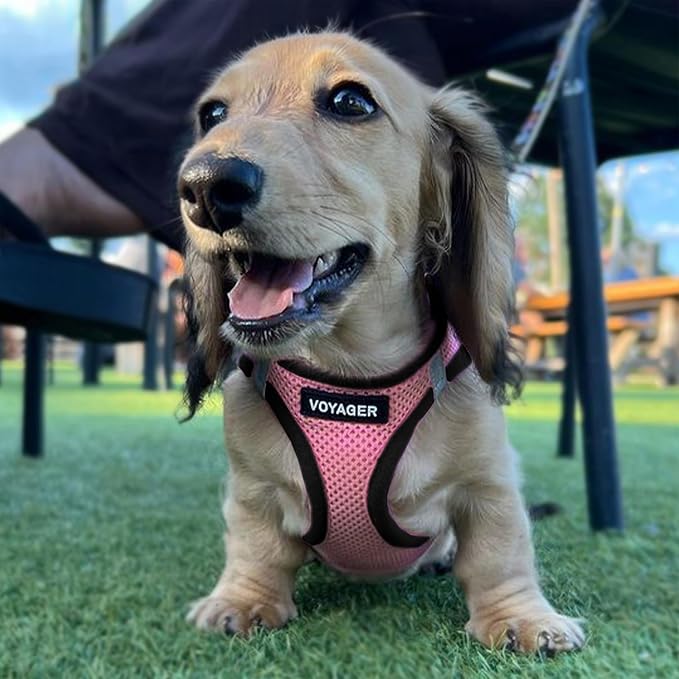 Voyager Step-in Air Dog Vest Harness - Pink/Black Trim, Medium | 16 - 18" in Chest, Reflective Bands, All Weather Breathable Air Mesh, Cats Compatible, Lightweight, Fast Drying