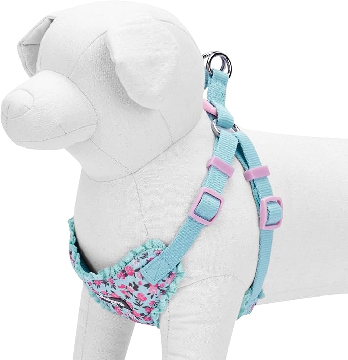 Blueberry Pet Soft & Comfy Made Well Cute Floral No Pull Mesh Dog Harness Vest in Light Blue, Chest Girth 17.5"-21", Small, Adjustable Harnesses for Dogs