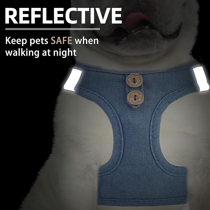 PUPTECK Dog Harness and Leash Set for Small Medium Dogs No Pull Step-in Soft Mesh Puppy Cat Vest Harnesses Reflective at Night, Denim Steelblue S