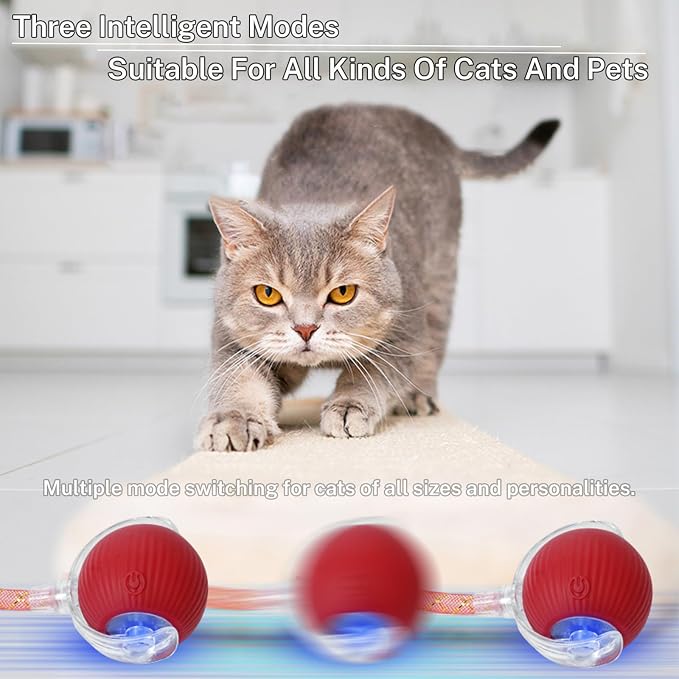 Speedy Tail 3.0 Interactive Toy Ball, 2 Tails for Cats & Dogs | cat chase toy|chirping bird cat toy|Adjustable sound level|300 mA high-capacity battery