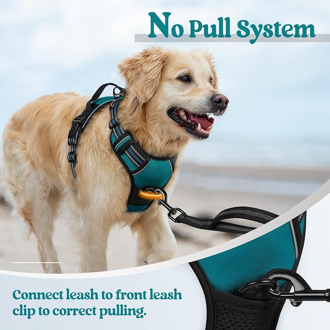 rabbitgoo Dog Harness, No Pull Medium Sized with 2 Leash Clips, Pet Vest | No Choke with Handle, Adjustable Soft Padded, Reflective, Easy Control for Walking, Blue Coral, Medium