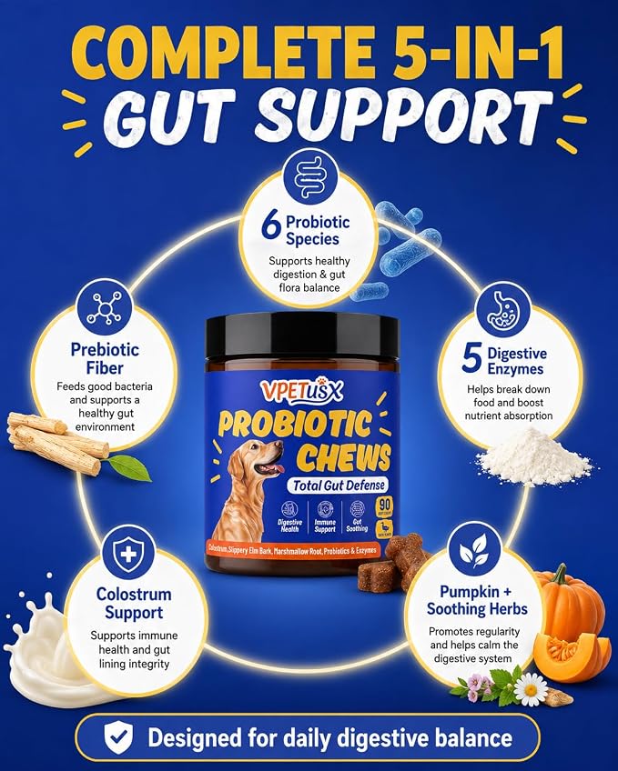 Advanced Dog Gut & Immune Support - Probiotics for Dogs Upset Stomach & Gas Relief with Pumpkin, Slippery Elm,Colostrum & Digestive Enzymes, (Duck Flavor 90 ct)