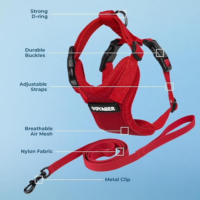 Voyager Escape-Proof Step-in Lock Cat Harness & 5ft Neoprene-Handle Leash Set All-Weather Mesh with Reflective Stitching for Small to Large Cats by Best Pet Supplies, Red, S