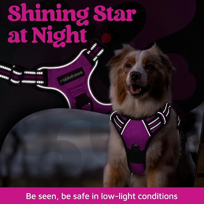 rabbitgoo Dog Harness Medium Sized, No Pull 3 Buckles Easy On & Off | Soft Padded, Walking with Control Handle, Adjustable and Reflective, Purple, Medium