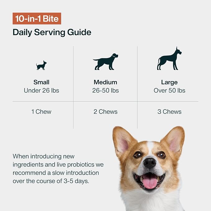 JustFoodForDogs 10-in-1 Supplement for Dogs, Dog Multivitamin Chews - 45 Ct | Human Grade Dog Supplement for Immune, Skin and Joint Health, Omega 3 for Dogs, Superfood Blend, Plant Based Dog Vitamins