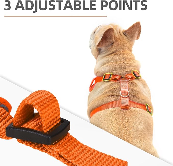 PUPTECK Small Dog Harness and Leash Set, No Pull Adjustable Puppy Cat Harness, Reflective Soft Mesh Pet Vest Small Sized, Orange, M