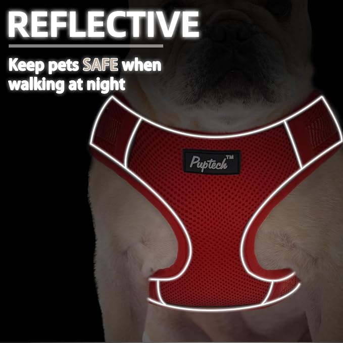 PUPTECK Dog Harness and Leash Set, No Pull Adjustable Pet Small Dog Harness, Reflective Soft Mesh Pet Vest, for Small Medium Dogs Walking, Red, XS