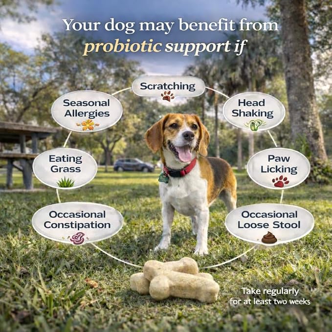 Probiotics for Dogs - Dog Probiotics Chews 10 Strain 3 Billion CFUs, Pre & Postbiotics for Gut Health - Supports Occasional Diarrhea, Immunity, Energy and Skin & Coat - Beef Flavor, 30 Chews