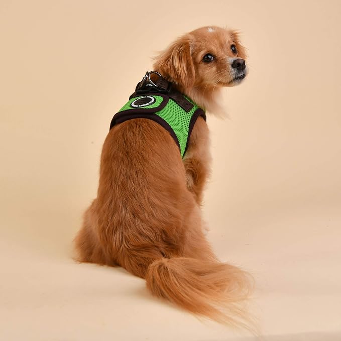 Puppia Soft Vest Harness B II - Green - L