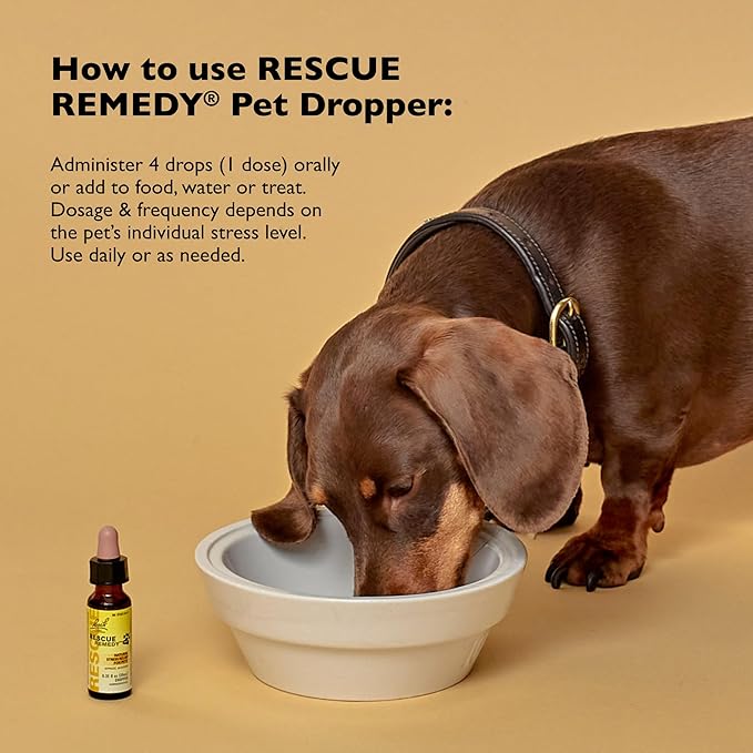 Bach Rescue Remedy Pet Dropper - 20mL, Pack of 2 - Stress & Tension Support for Dogs & Cats Natural Flower Essences - Sedative-Free, Homeopathic Liquid Formula - for All Breeds, Ages & Weights