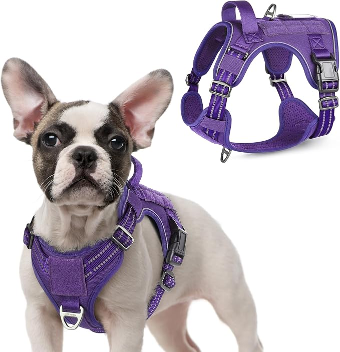 rabbitgoo Tactical Dog Harness for Small, No Pull Military Service Vest | Molle & Handle, Heavy Duty, Adjustable, Reflective Straps, Easy Control for Training Walking, Purple, Small