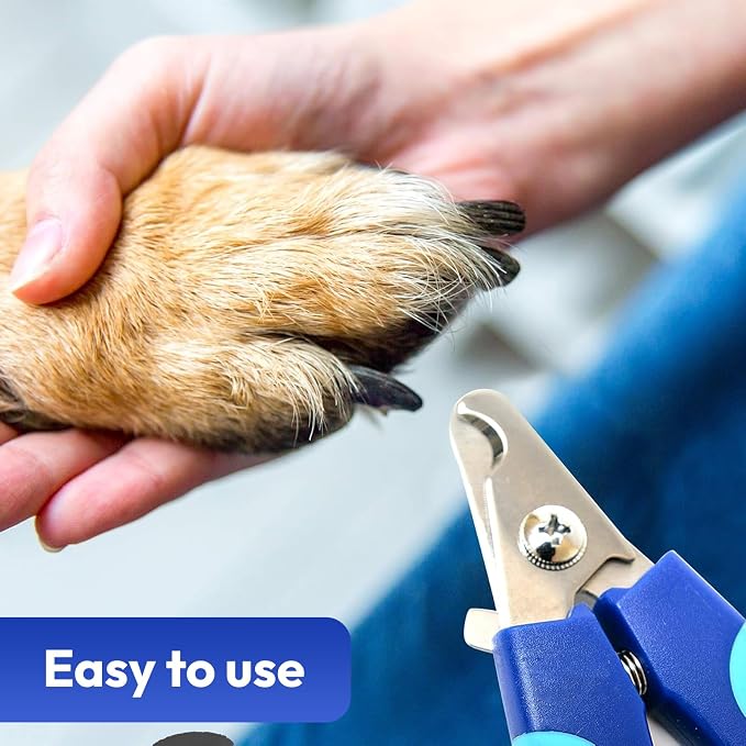 BPG 3-Piece Dog Grooming Kit - Grinder, Clippers & File