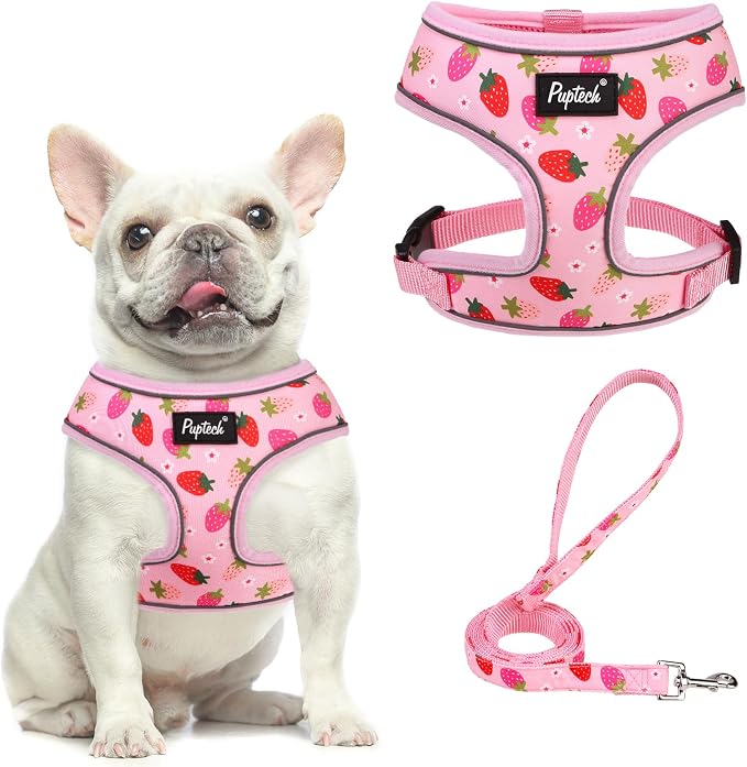 PUPTECK Soft Mesh Dog Harness and Leash Set Pet Puppy Cat Comfort Padded Vest No Pull Harnesses, Strawberry Pink, M