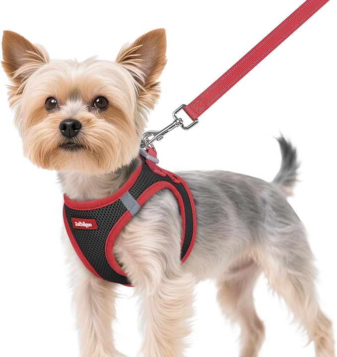 rabbitgoo Dog Harness Small Sized and Leash Set, Step in Soft Vest | Breathable Mesh, Easy Wear with Hook & Loop, Light and Reflective for Walking, Multi-colored, Black & Red, XS