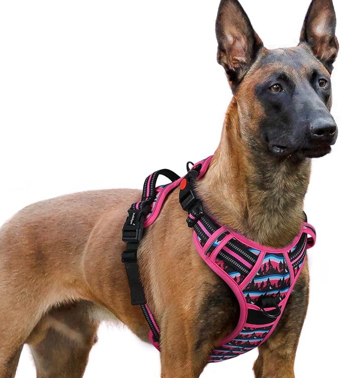 rabbitgoo Dog Harness for Large, Updated Easy On & Off with 3 Buckles | No Pull No Choke, Walking with 2 Clips and Handle, Adjustable Soft Reflective, Mountain Rose, X-large