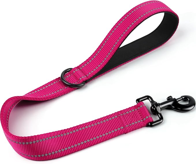 Joytale Short Dog Leash for Close Control & Training, 24", Hot Pink | Padded Comfort Handle, Reinforced Nylon Webbing, Secure Metal Clip, for Busy Streets & Heel Training