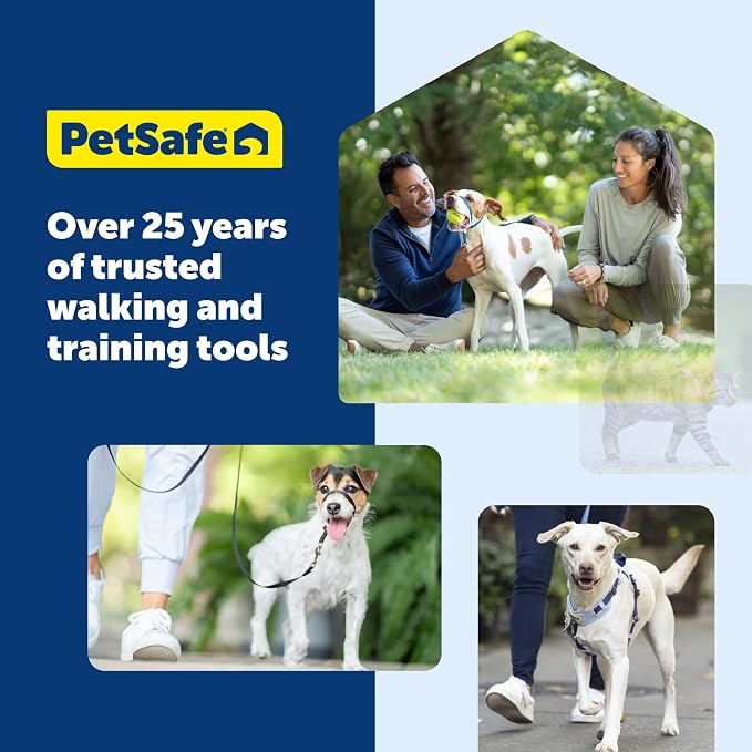 PetSafe Nylon Dog Leash - Strong, Durable, Traditional Style Leash with Easy to Use Bolt Snap - 3/8 in. x 6 ft., Royal Blue | Durable Nylon Leash with Easy on/off Bolt Snap Hook, Pairs Perfectly with Easy Walk Harness and Gentle Leader Headcollar