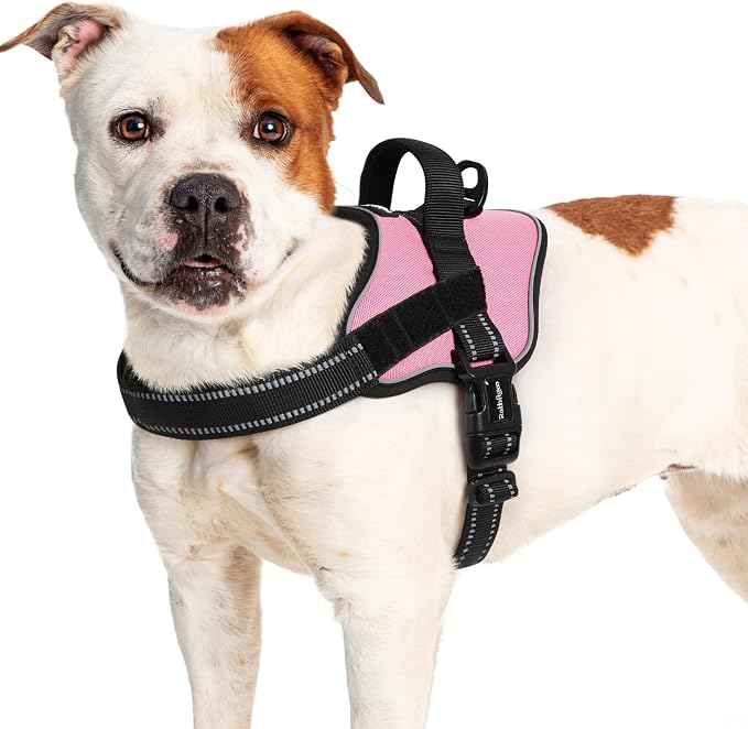 rabbitgoo No Pull No Choke Pet Vest, Adjustable Pet Harness with Molle | Large Sized Dog Harness, Reflective, Easy Wearing with One Buckle for Walking, Training, Pink, L