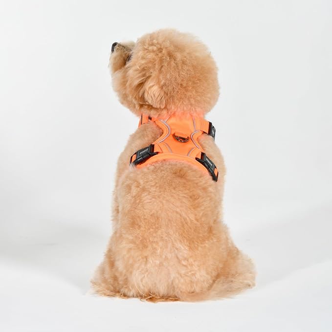 Puppia Neon Dog Harness H Sturdy Adjustable Neck and Chest Reflective Front and Back D-Ring for Small and Medium Dogs, Orange, Medium