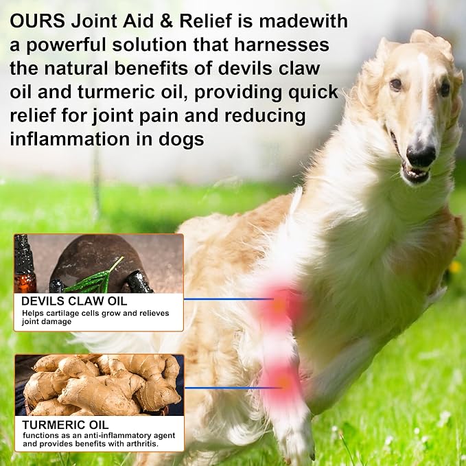 Joint Supplement for Dogs – Glucosamine Chondroitin with Turmeric & Devils Claw – Natural Relief for Senior, Active Adults & Puppy Hip & Joint Health – Support for Inflammation & Cartilage – 2 fl oz