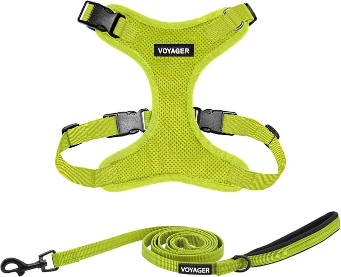 Best Pet Supplies Voyager Step-in Lock Pet Harness w Reflective Pet Leash Combo Set with Neoprene Handle 5ft - Supports Small, Medium and Large Breed Puppies/Cats - Lime Green Set, M