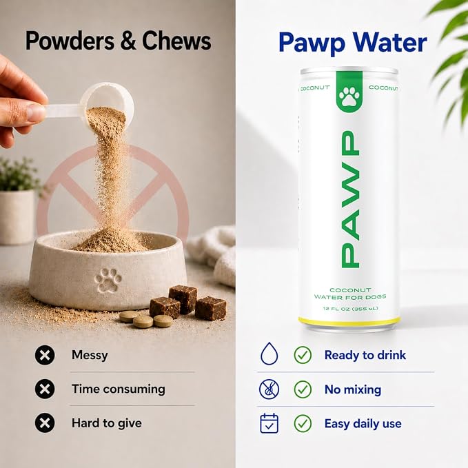 Coconut Hydration for Dogs by PAWP WATER | Organic Coconut Water | Natural Electrolytes for Hydration, Recovery & Everyday Wellness | 6 Resealable 12 oz Cans