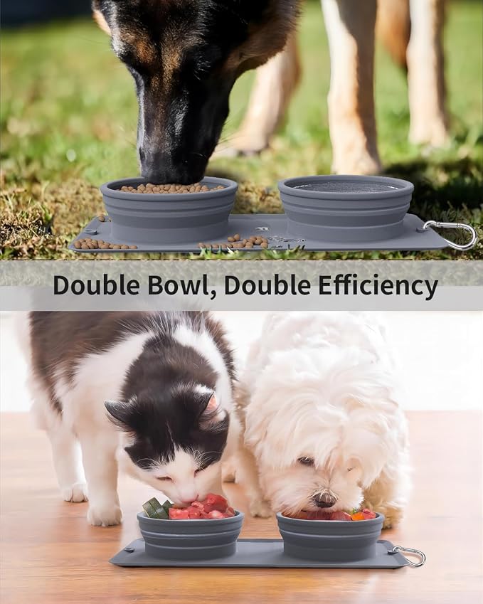 Collapsible Portable 2-in-1 Dog Bowl with Carabiner, Grey