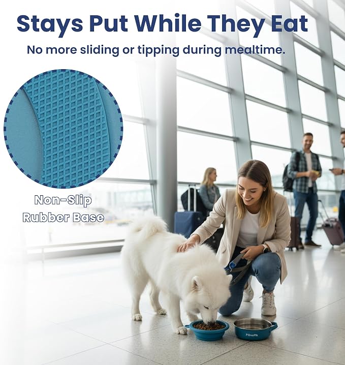 PawsPik 2-in-1 Travel Dog & Cat Bowl, Stainless Steel & Silicone, Midnight Summit Blue