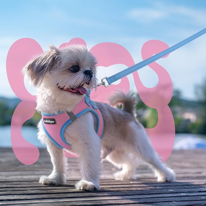rabbitgoo Dog Harness Small Sized and Leash Set, Step in Soft Vest | Breathable Mesh, Easy Wear with Hook & Loop, Light and Reflective for Walking, Multi-colored, Pink & Blue, S