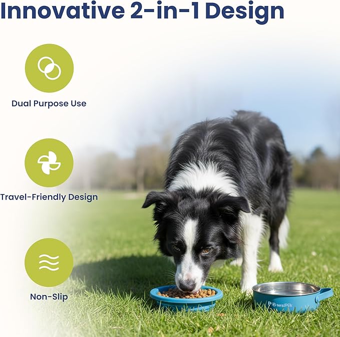 PawsPik 2-in-1 Travel Dog & Cat Bowl, Stainless Steel & Silicone, Midnight Summit Blue