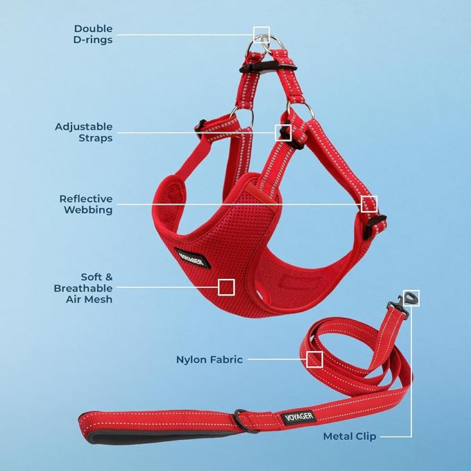 Best Pet Supplies Voyager Adjustable Step-in Flex Breathable Mesh Dog Harness for Small Medium Large Dogs Leash Set (Red), S
