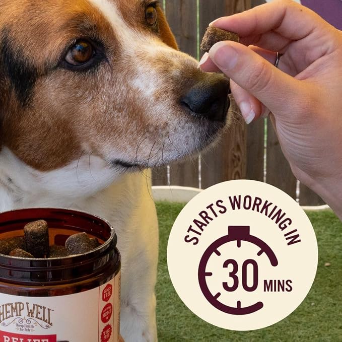 Hemp Well Relief Dog Soft Chews with Organic Hemp, Joint Support, 60-Count