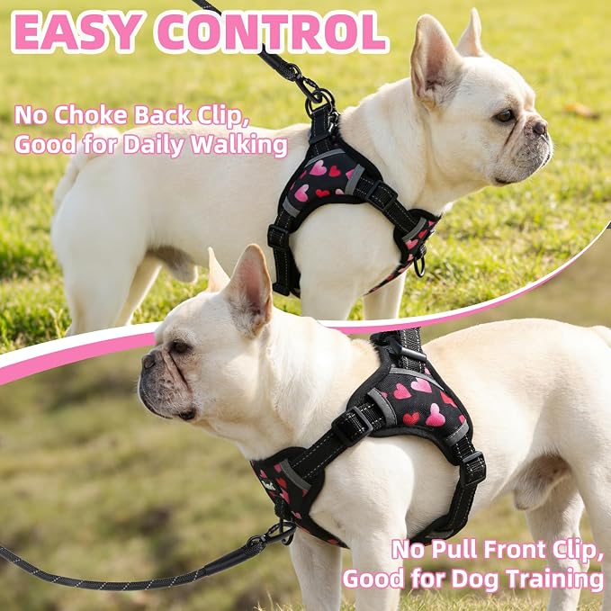 PUPTECK Dog Harness Small Sized Dog, Step in Adjustable Reflective Dog Vest Harness Escape Proof, No Pull Soft Padded Harness Easy Control, Heart, M
