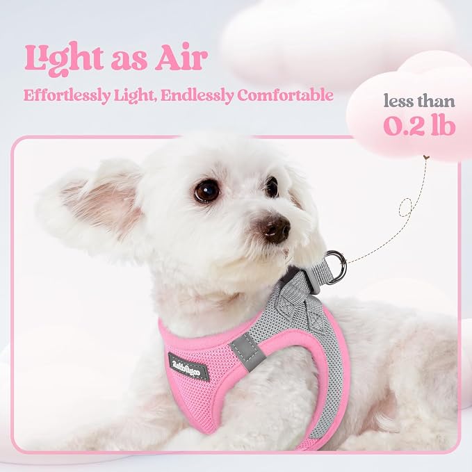 rabbitgoo Dog Harness Small Sized and Leash Set, Step-in Puppy Pet Vest | Light, Soft, Breathable Air Mesh, Easy on and Remove with Hook & Loop, Secure Reflective for Walking, Light Pink & Gray XXS