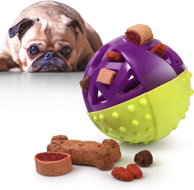 – Ball-Shaped Dog Squeaky Toy for Small-Medium Puppy & Dogs | Dental Dog Chew Treat Ball Helps Massage Dogs Gums, Good for Aggressive Chewers | Green/Purple