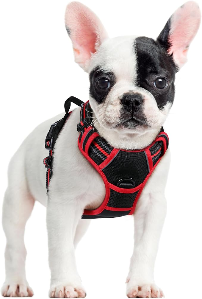 rabbitgoo Dog Harness, No Pull for Small Dogs with 2 Leash Clips, Pet Vest | No Choke with Handle, Adjustable Soft Padded, Reflective, Easy Control for Walking, Black & Red, Small