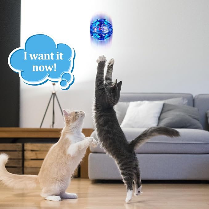 Sratte 2 Pcs Rechargeable Cat Ball Ghost Hunting Light up Cat Balls Toys Motion LED Motion Activated Flash Glowing Lighted Dog Interactive Toys Pet (Red and Blue)