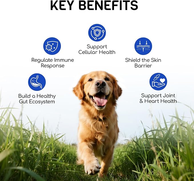 Dog Allergy Relief Chews - Dog Itching Skin Relief - 180 Chews - Anti-Itch, Hot Spots, Paw Licking - Immune Health - Omega 3 Fish Oil - Dry Itchy Skin and Coat Supplement