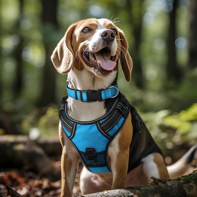 Joytale Dog Harness (Chest: 12-21"), Dog Collar and 6FT x 3/4" Wide Dog Leash Set, Reflective Padded Nylon Collar and Leash, Adjustable Soft Harness with Handle for Dogs