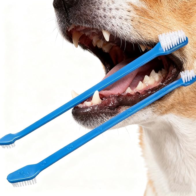 YMCCOOL Dog Toothbrush Set of 8 – Dual Headed Dental Hygiene Brushes for Small to Large Dogs, Easy Teeth Cleaning & Dental Care,Dog Tooth Brushes for Small to Large Dogs, Cats, and Most Pets
