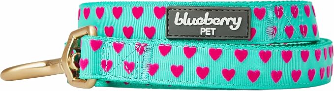 Blueberry Pet Valentine's Day Dog Leash, Velvety Soft-Touch Heart Flocking Lead for Small Dogs, Minty Green, 5 ft x 5/8"