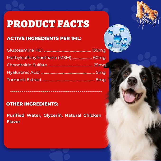 Wellix 4 oz Joint Supplement Drops for Dogs & Cats - Mild Turmeric Formula