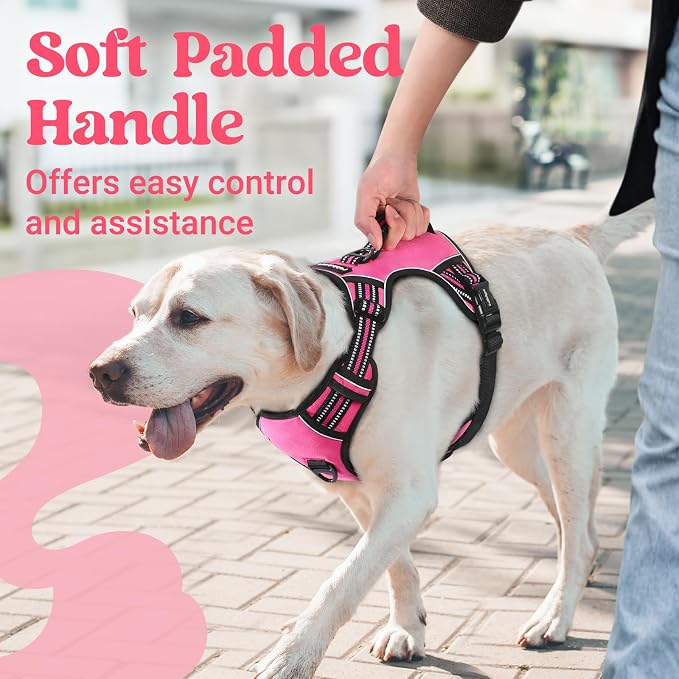 rabbitgoo Large Dog Harness, Easy Wear with 3 Buckles and Lift Handle | No Pull with Front Clip for Walking, Adjustable Soft Padded, Reflective, Easy Control, Pink, X-Large