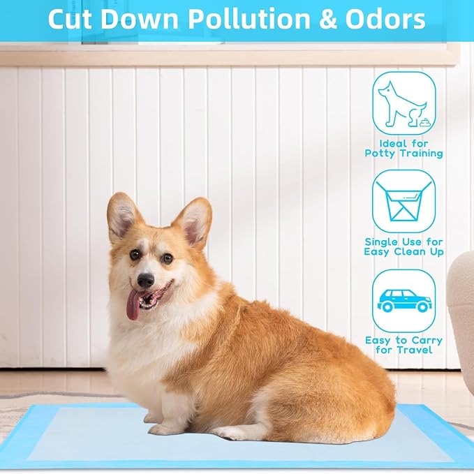 Care All-Absorb, 23.6" x 23.6", 40 Count, Dog and Puppy Training Pads, Ultra Absorbent and Odor Eliminating, Leak-Proof 5-Layer Training Pads with Quick-Dry Surface (L- 23.6 x 23.6-(40 Count))