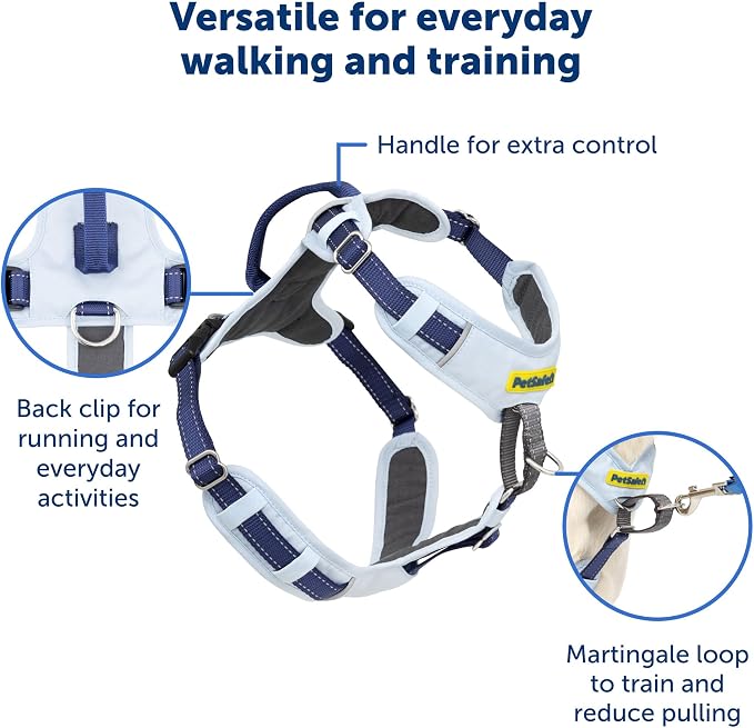 PetSafe Easy Walk Comfort No Pull Dog Harness, Green Gringham, Small | Stops Pulling on First Use with Front Martingale Loop, Padded Comfort, 5-Point Adjustable Fit