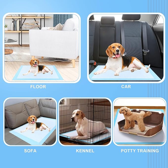 10 Count Dog Cat Puppy Pee Pads,24"x36" Super Absorbent Puppy Pads Leakproof Quick-Dry Disposable Pet Pads for Puppies, Dogs Cats Indoor, Outdoor, Housebreaking Use