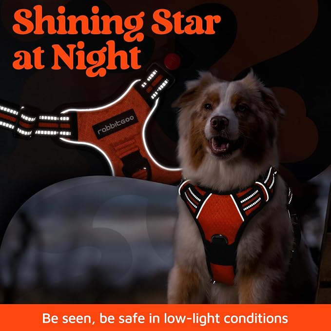 rabbitgoo Dog Harness for Large, No Pull 3 Buckles Easy On & Off | Soft Padded, Walking with Control Handle, Adjustable and Reflective, Orange, X-Large
